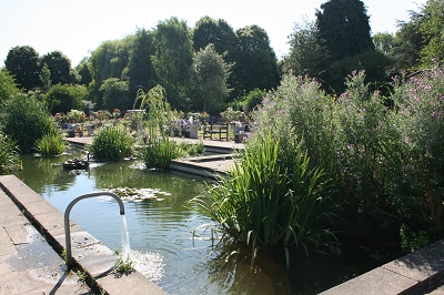 Tranquil pond